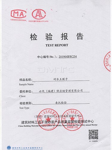 耐水王腻子 (1)